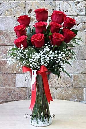 Eleven Roses in a Vase