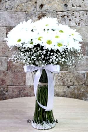 White Daisy in a Vase