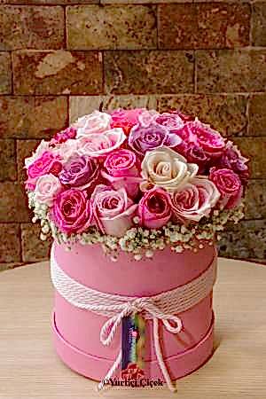 Pink Rose in a Box Series 1